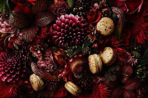 日本知名花艺家东信（Makoto Azuma）与法国马卡龙名店，素有甜品界的毕加索之称的Pierre Hermé跨界合作，藉由Makoto Azuma绚烂夺目的花艺和表现手法，展现出不同风味的马卡龙无与伦比的美妙滋味。