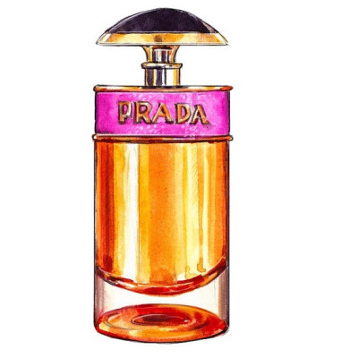 香水插画，无法抵抗的魅力。