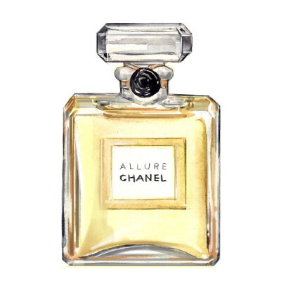 香水插画，无法抵抗的魅力。