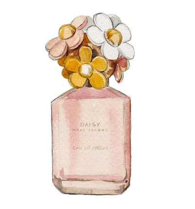 香水插画，无法抵抗的魅力。