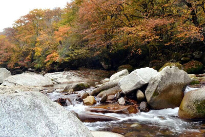 光雾山秋之景