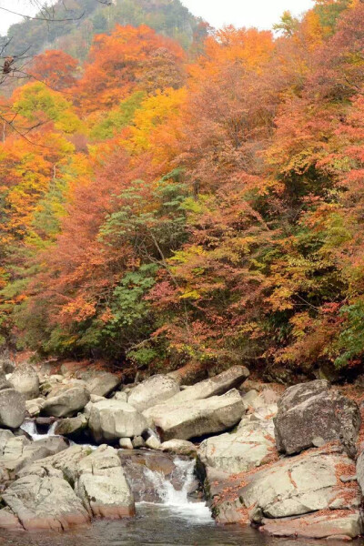 光雾山秋之景