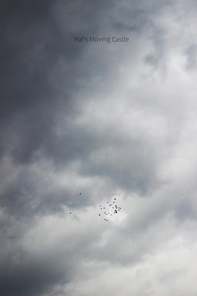 时间：2014年10月28号 人物：哈尼，小秋姨 事件：吃正宗地道的花椒鸡，徒步旅行。 路途故事：去时坐车2小时，回归一直冒着雨徒步5小时左右，全身湿透，眼见三次车祸，我们被跑线的司机大叔夸为这条线上的第一人。 行后感：狼狈不堪的行程却带给我们别样的爽。