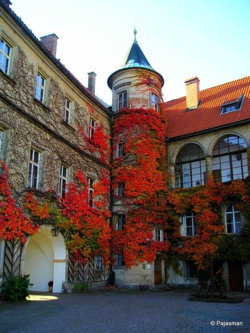 Ivy Tower, Zámek Hrubá Skála, Czech Republic