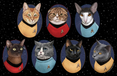 Star Trek Cats