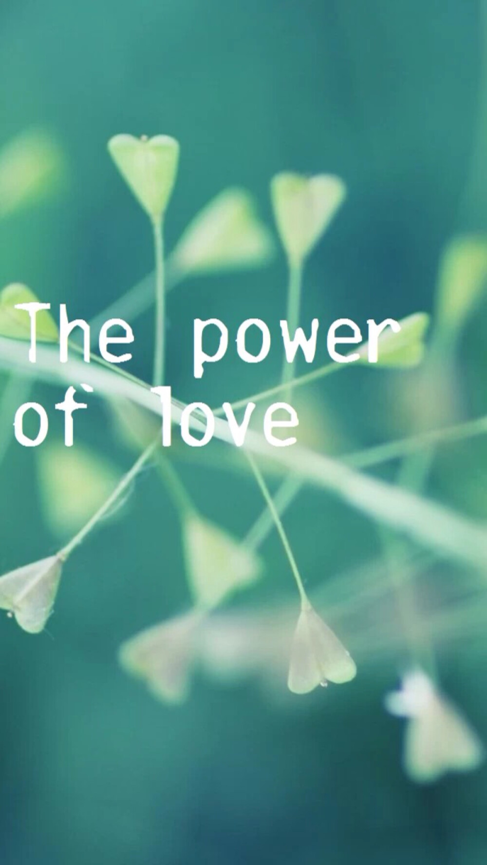 英伦英文英语句子短句壁纸清新文字