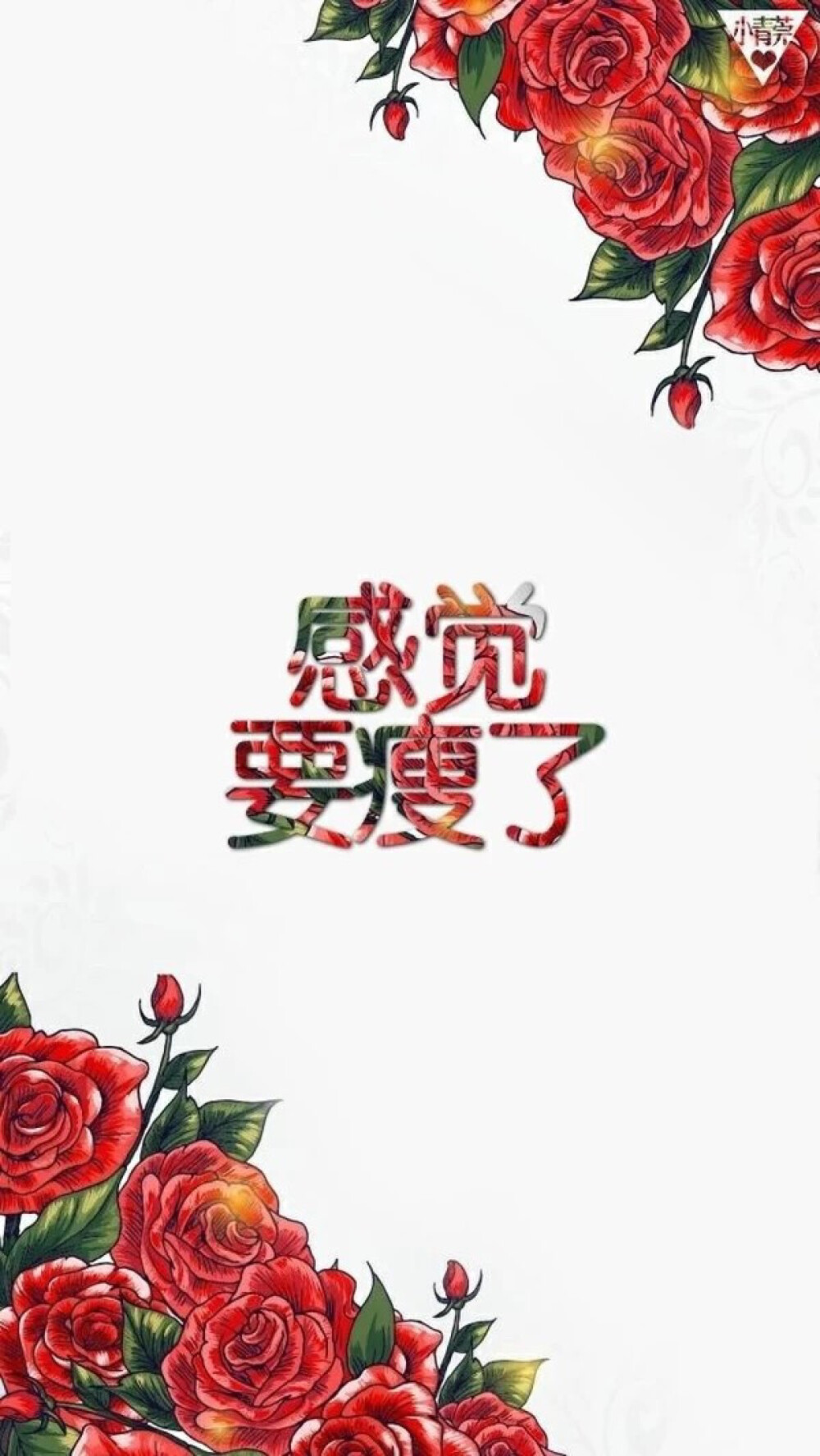 减肥励志 文字壁紙