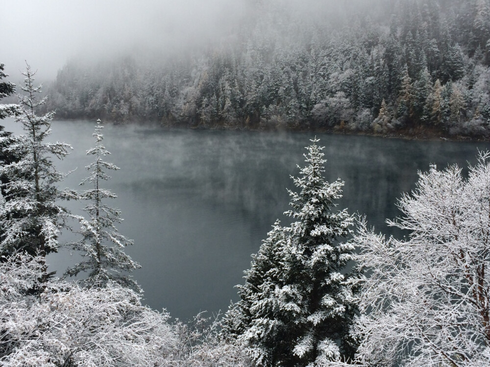 雪景