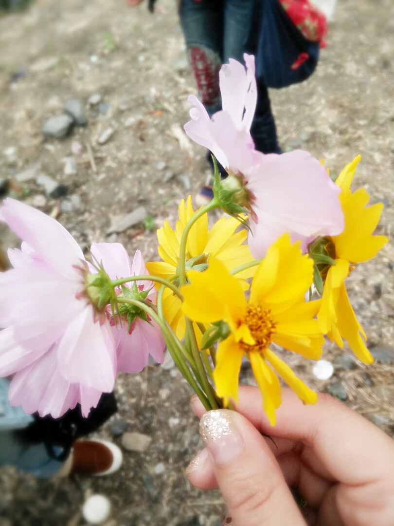 小镇 那花。