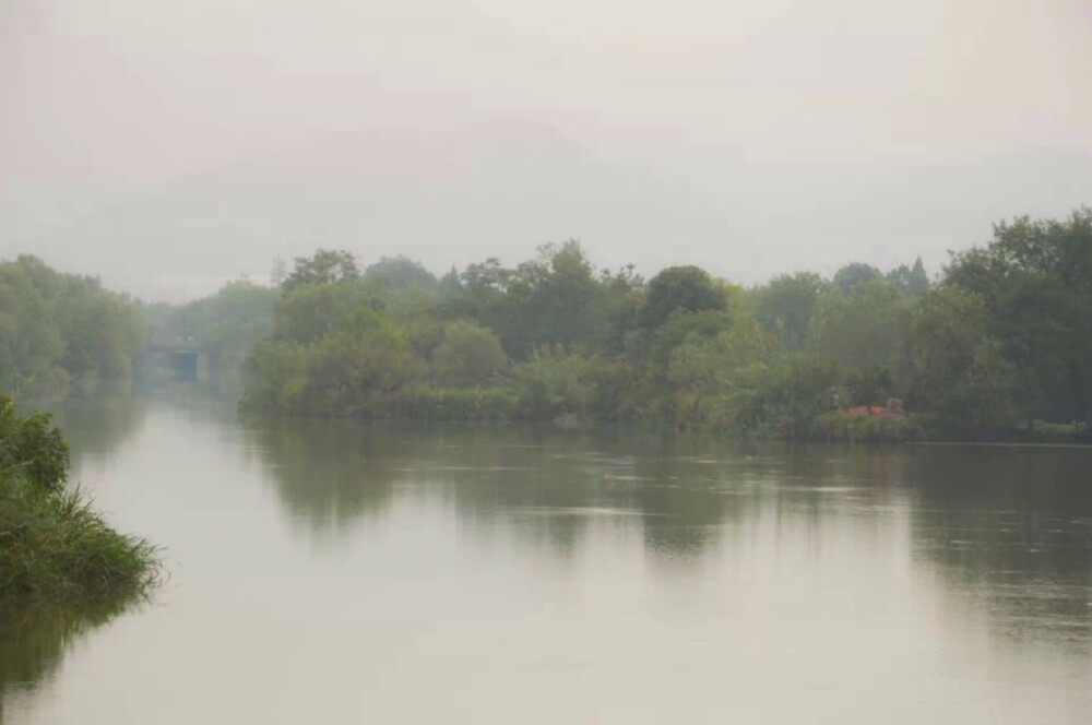 西溪湿地