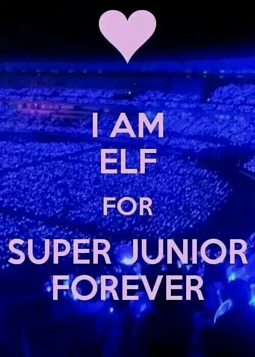 I AM ELF SUPER JUNIOR FOREVER