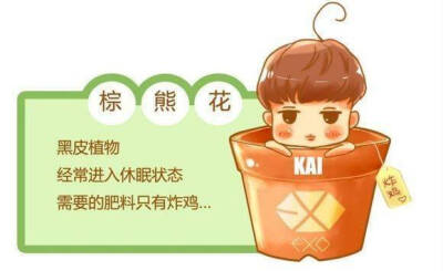 EXO FANART KAI 棕熊花