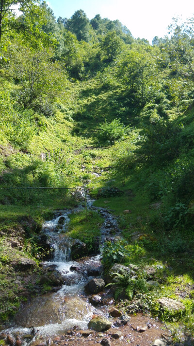 山景