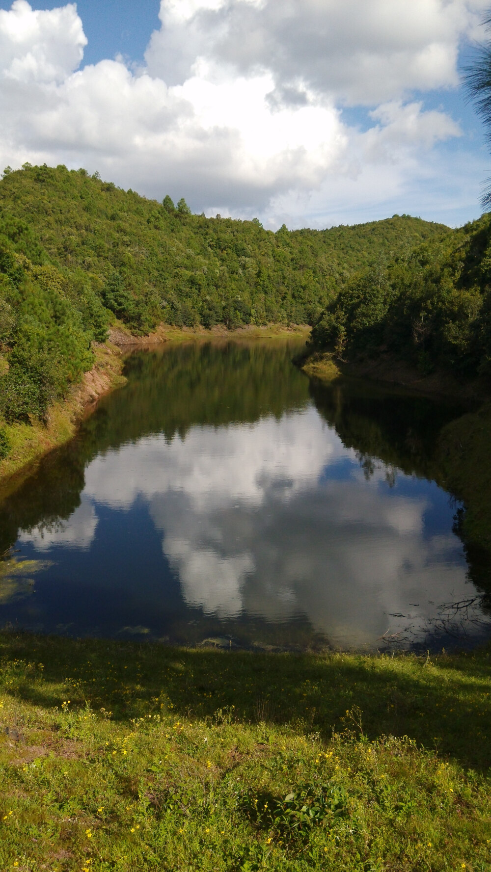 山景