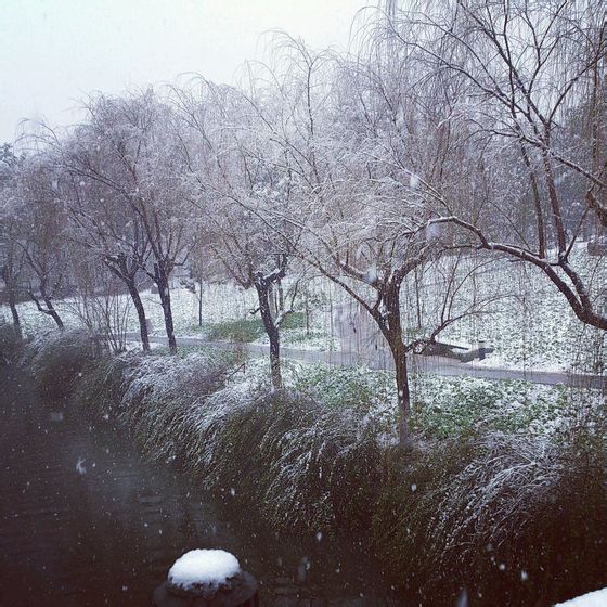 少有的雪景