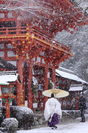 Kamigamo shrine in snow, Kyoto, Japan。日本京都贺茂别雷神社。位于流过京都中心部的鸭川上游的上贺茂神社，其正式名称为贺茂别雷神社，源于御祭神的贺茂别雷大神，是京都具有最古老历史的神社之一。传说在古老的神话时代，秀峰神山降临到本社的西北偏北处，在678年建造了神殿。包括神社神社背后的山在内，神社总面积达664000平方米，其中34座神社殿堂都是国家级文物。此神社还进行京都三大祭礼之一的葵祭等各种祭礼和祭事，成为了京都祭礼的舞台。