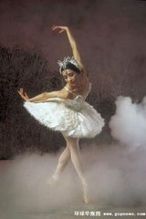 漂亮的舞蹈动作