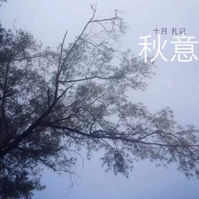 秋之景（不许盗图哦）