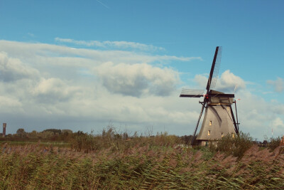 kinderdijk--小孩堤坝