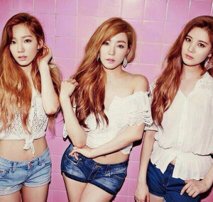 SNSD The TTS