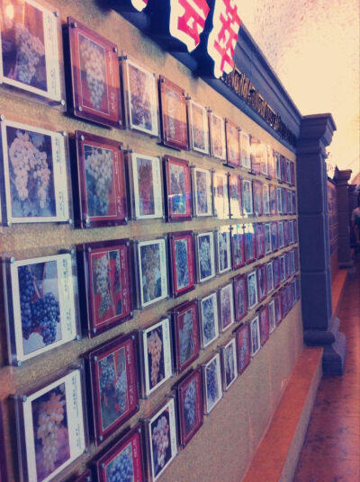 红酒博物馆_(:_」∠)_