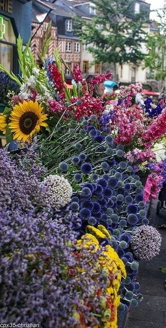 Saturday Flower Market in Rennes, Brittany ~ France