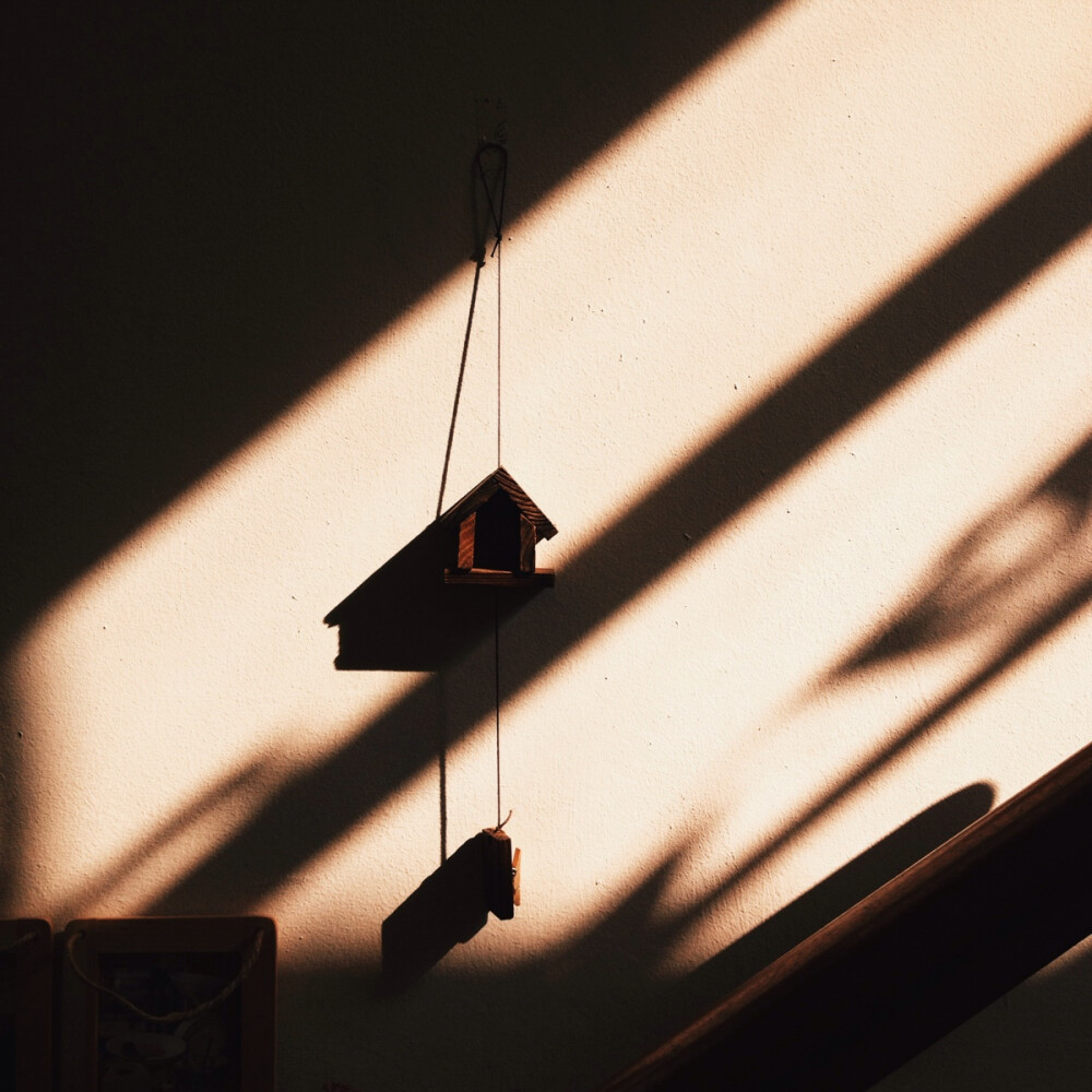 Light and shadows, and together, they danced. ©squirreldiaries