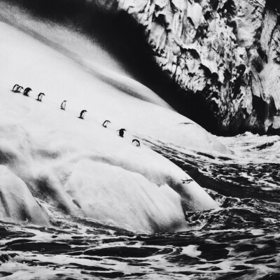 「We take turns to jump headfirst into the unknown.」Photo from Sebastião Salgado's GENESIS Exhibtion. ©squirreldiaries