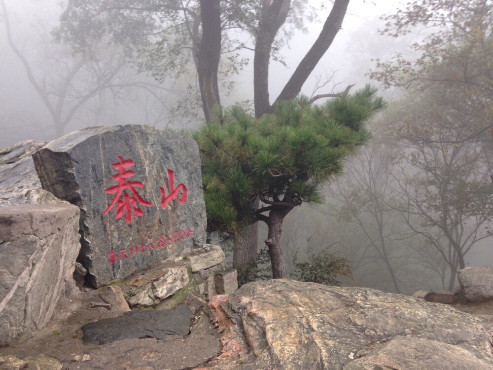 泰山