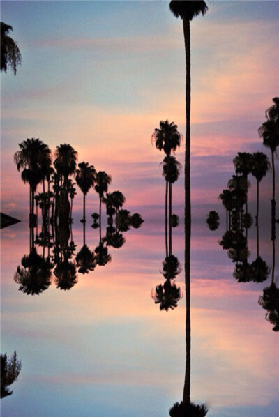 生命之树，在于根的顽强、枝的不挠、叶的坚强和花的迸发！