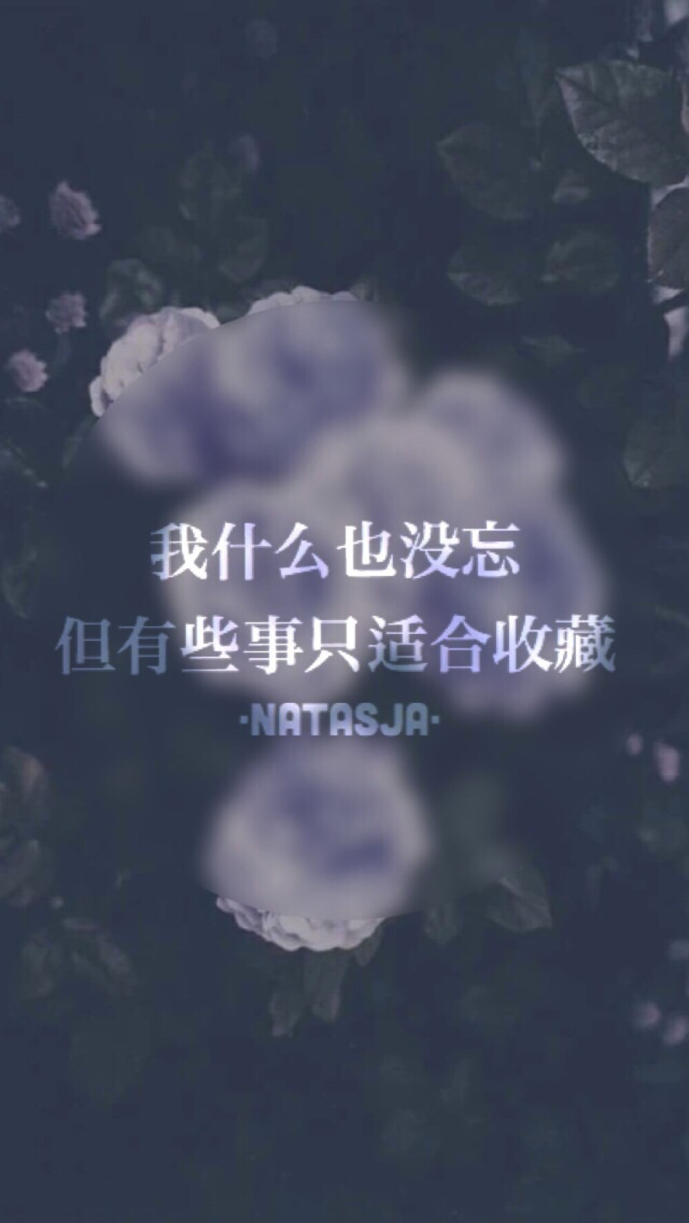 Natasja❥ 原创自制壁纸 文字 句子 情感 心情 语录 清新 治愈 浪漫 励志 意境 文艺 英文 欧美 插画 正能量 iPhone壁纸 喜欢关注 收集留言 盗图二传者会有报应的- 禁二改 禁二传 禁抹logo 仅收藏-转载请注明作者出处-