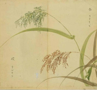诗经