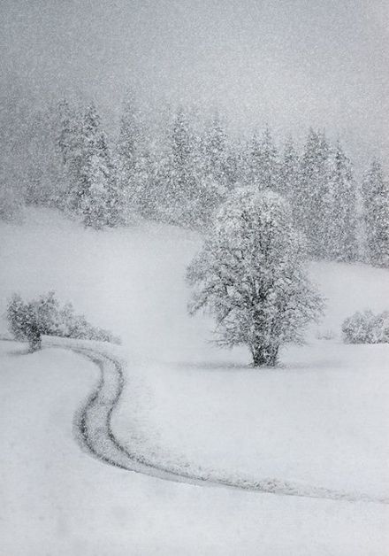 初雪何时来