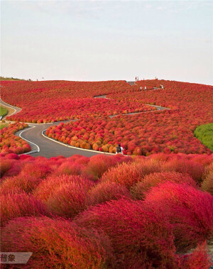 日本，日立海滨公园小径