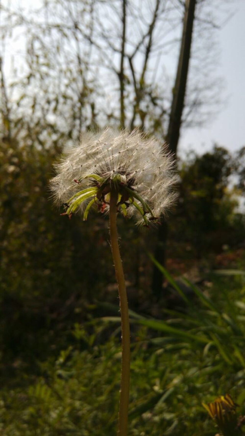 echoecho，还记得高三那年听到心理FM的《梦...》，就迫不及待地把三毛所有的书都看了一遍。而现在又开始嗜村上春树的书，也只是因为那个“斯普特尼克恋人”的网名。似乎是以这种方式来了解一个人的人生，然后也就心生憧憬。倒也是日思夜想南半球的哥哥，也想开着皮卡横穿撒哈拉沙漠，也想在凉凉晚风时载起徒步的路人，在骄阳下听你一句“日安”。