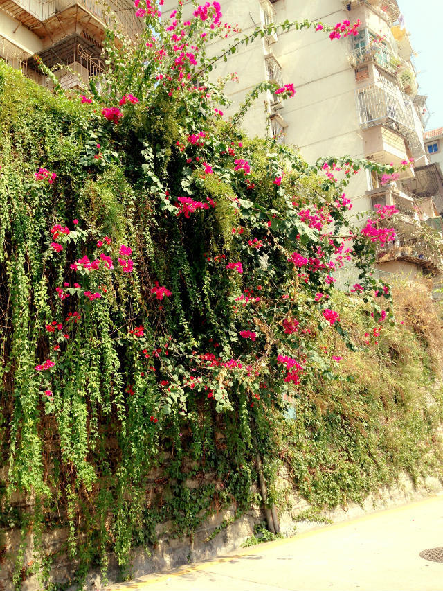 10月的厦门大学