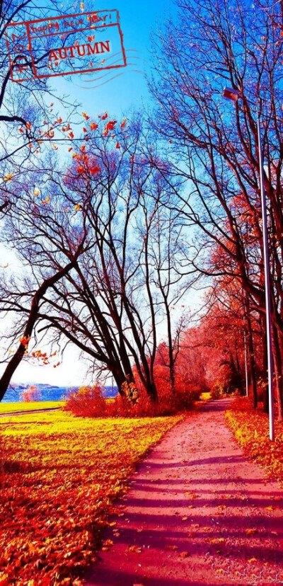 秋之景 在这样一个美丽如画的日子里， 我观赏秋天的叶子。 一片一片灿烂燃烧着的枫树林， 从远处望， 犹如一座火焰山。 走进枫树林中， 那热情洋溢的枫叶， 在微风的吹拂下， 向我们点头微笑
