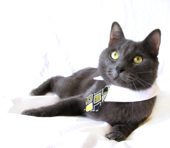 Cat in Necktie