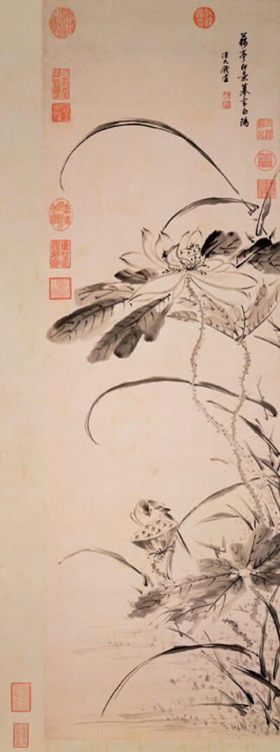 陈书（1660-1736年），清代女画家。字南楼，号上元弟子、南楼老人。秀水（今浙江嘉兴）人。太学生陈尧勋长女。嫁给钱纶光（太学生，工写书法，享有诗名。）为妻。善画山水、人物；尤擅花鸟草虫，笔力细劲，用笔近於…