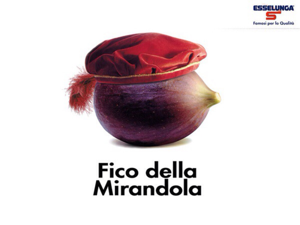 Fico della Mirandola =fico（无花果）+ Pico della Mirandola（ 意大利文艺复兴时期哲学家）