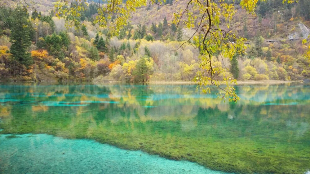 九寨沟，秋景。by硬柿子。