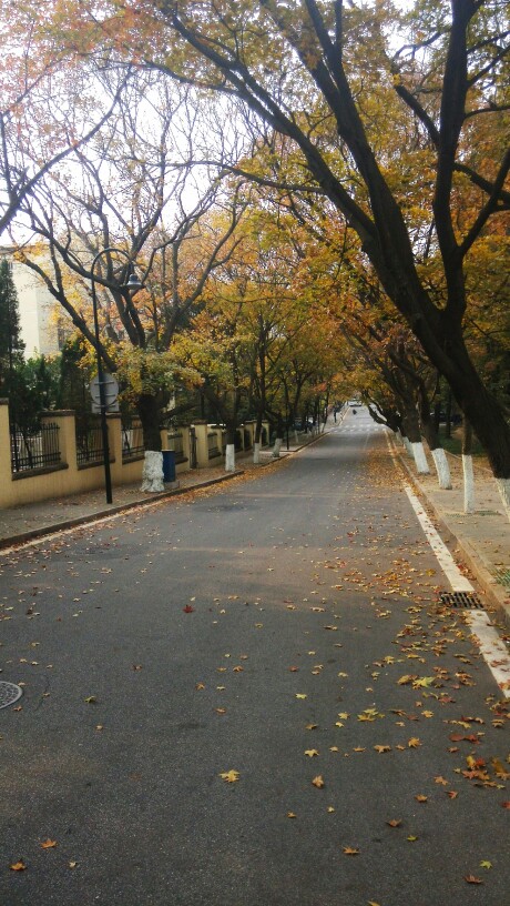 那条路°