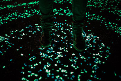 荷兰艺术家 Daan Roosegaarde 设计了一条美丽浪漫的发光自行车道，夜晚时路上的卵石和 LED 灯会发光，仿佛是梵高的星空画。 这条位于 Brabant（梵高的家乡）的一公里长的自行车道采用了太阳能电池的 LED 灯，白天充…