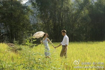 电影《面纱》温暖的一幕