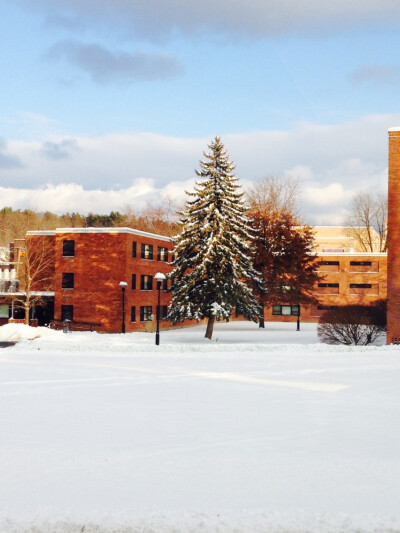 Rpi winter