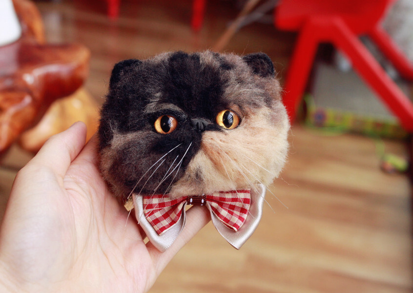 玳瑁色微博关注豆小nia