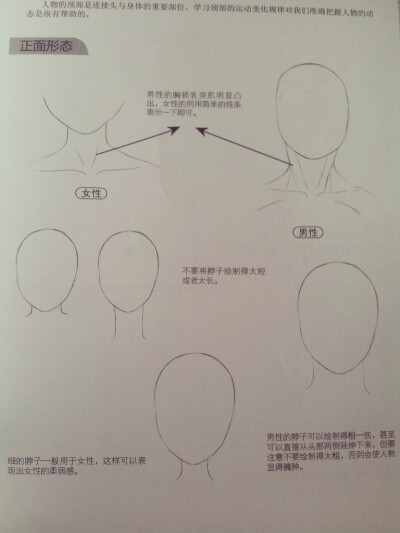 脖颈纹理