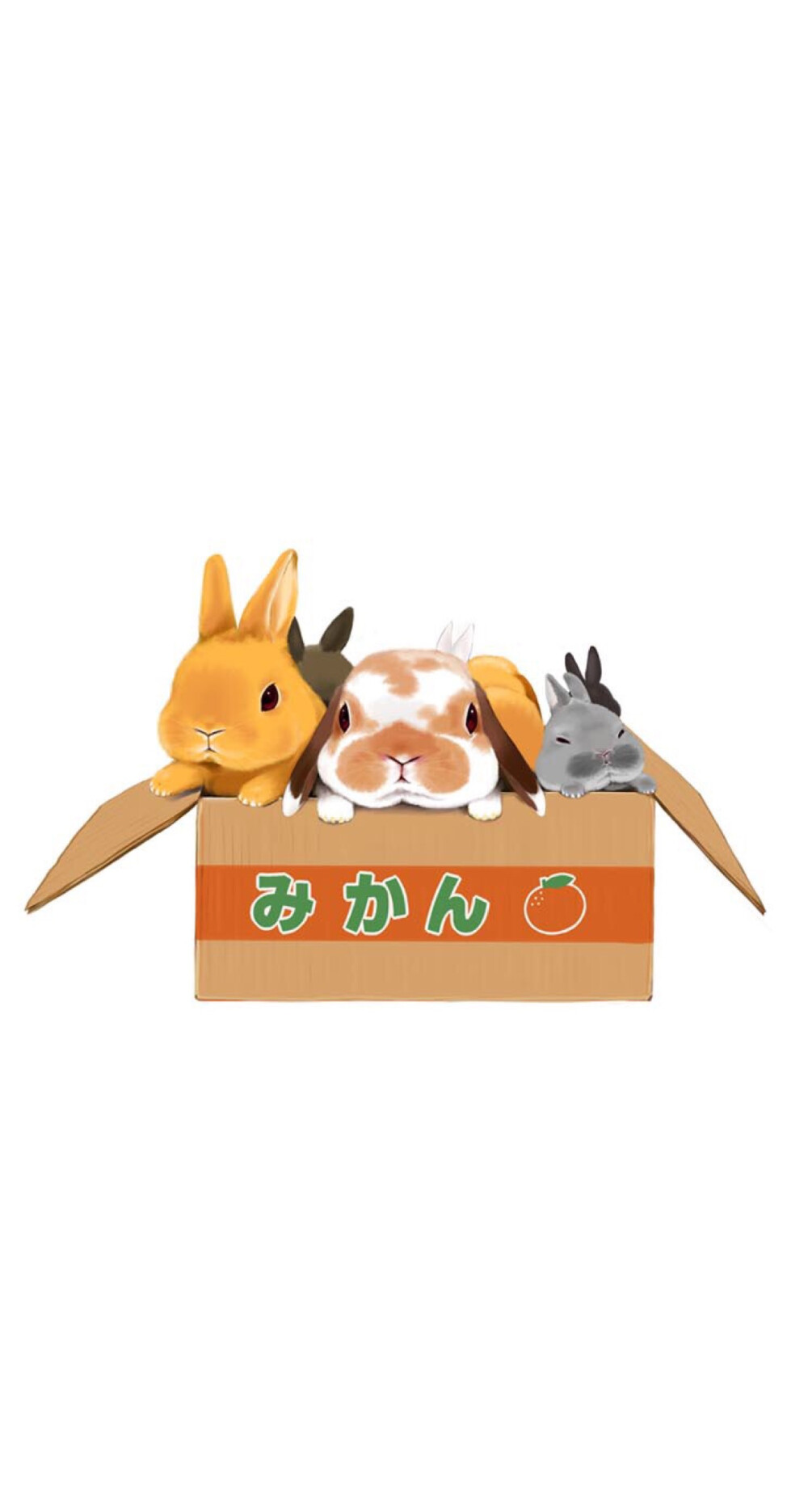 各处搜集的 for iphone6ヽ(´▽｀)/