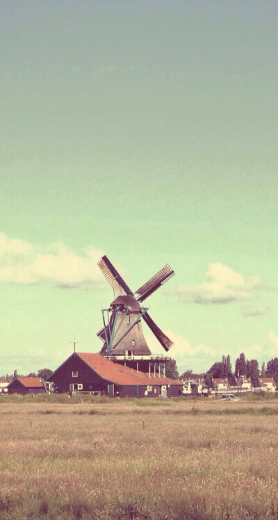 手机壁纸 风车