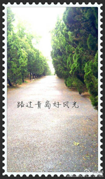 八大关雾雨蒙蒙的路，空无一人时候，你在我身后。